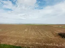 pola uprawne