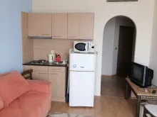 Miniaturka