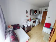 Miniaturka