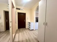 szafa