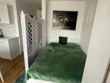 Miniaturka