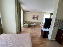 Miniaturka