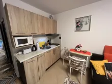 Miniaturka