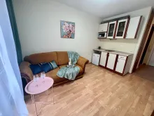 Miniaturka