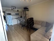 Miniaturka