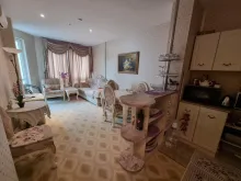 Miniaturka