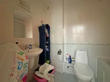 Miniaturka
