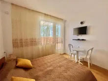 Miniaturka