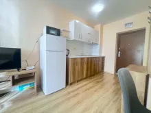Miniaturka