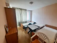Miniaturka