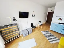 Miniaturka