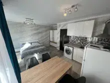 Miniaturka