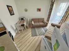 Miniaturka