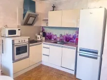 Miniaturka