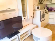 Miniaturka