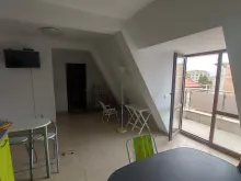 Miniaturka
