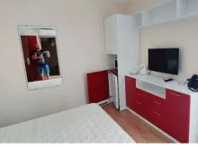 Miniaturka