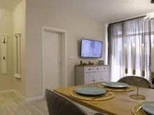 Miniaturka