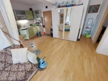 Miniaturka