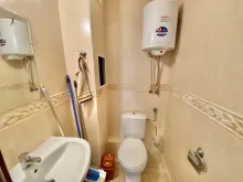 Miniaturka