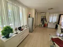 Miniaturka