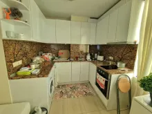Miniaturka