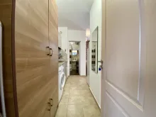 szafa
