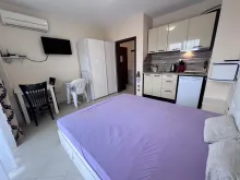 Miniaturka