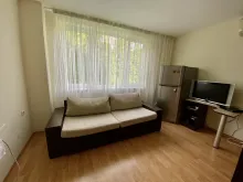 Miniaturka