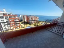 Miniaturka