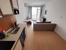 Miniaturka