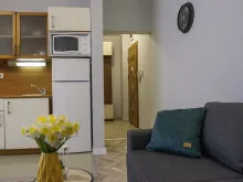 Miniaturka