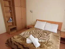 Miniaturka