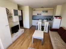 Miniaturka