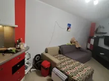 Miniaturka
