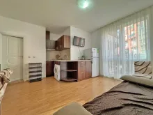 Miniaturka