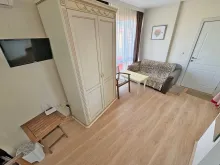 Miniaturka