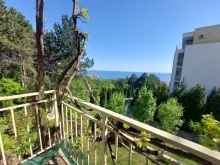 Miniaturka