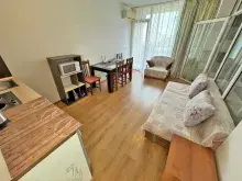 Miniaturka