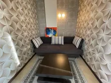 Miniaturka