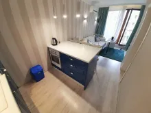 Miniaturka