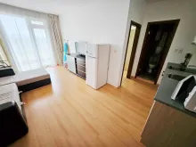 Miniaturka