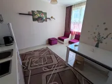 Miniaturka