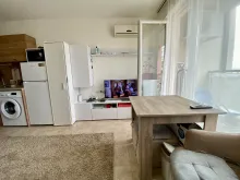 Miniaturka