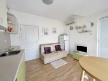 Miniaturka