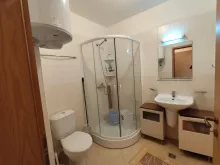 Miniaturka