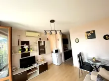 Miniaturka