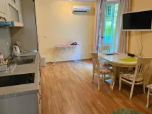 Miniaturka