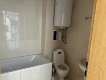 Miniaturka