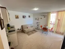 Miniaturka